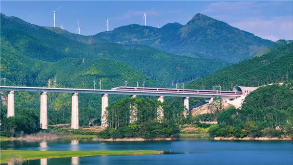 2025年新澳门精准免费大全