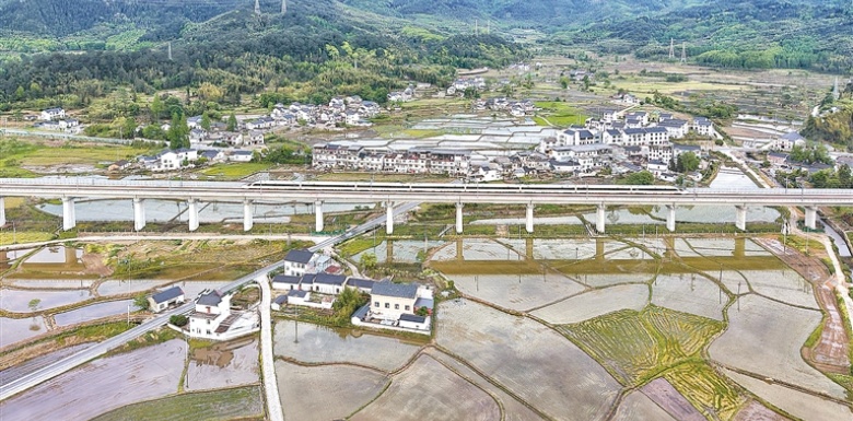 2025年新澳门精准免费大全
