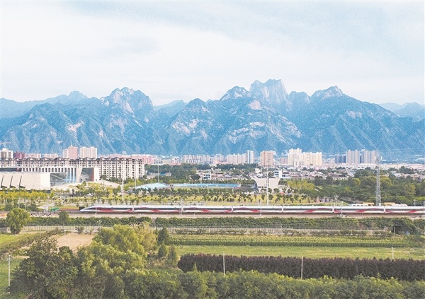 2025年新澳门精准免费大全